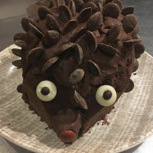 Hedgehog cake fails, nailed it, cakes with threatening auras, funny pictures of terrible bakers, funny meme, cakes, baking, lol