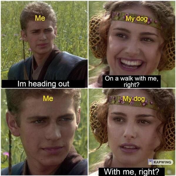 Funny for the better right Star Wars memes, the Anakin and padme meme, funny prequel memes, Star Wars jokes, lol, hilarious dark memes