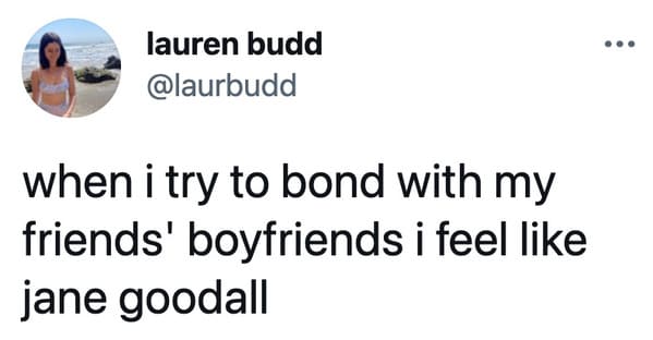 Funny relatable tweets that make you feel personally attacked, accurate honest hilarious jokes, twitter humor, jokes, lol