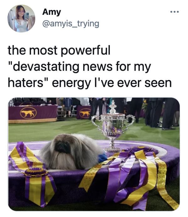 funny non-political tweets, twitter jokes, lol, funny posts from this week