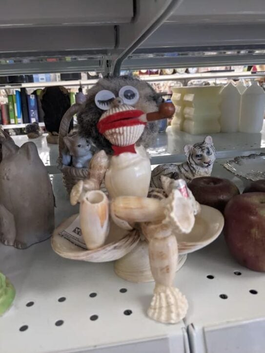 27 Hilariously Weird Things People Found For Sale Page 2 of 2