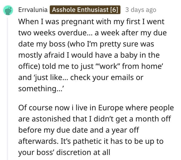 Woman asks if she’s the asshole to not give up vacation days, single woman versus pregnant woman vacation days AITA, American workers, sad, funny, Reddit question