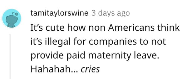 Woman asks if she’s the asshole to not give up vacation days, single woman versus pregnant woman vacation days AITA, American workers, sad, funny, Reddit question