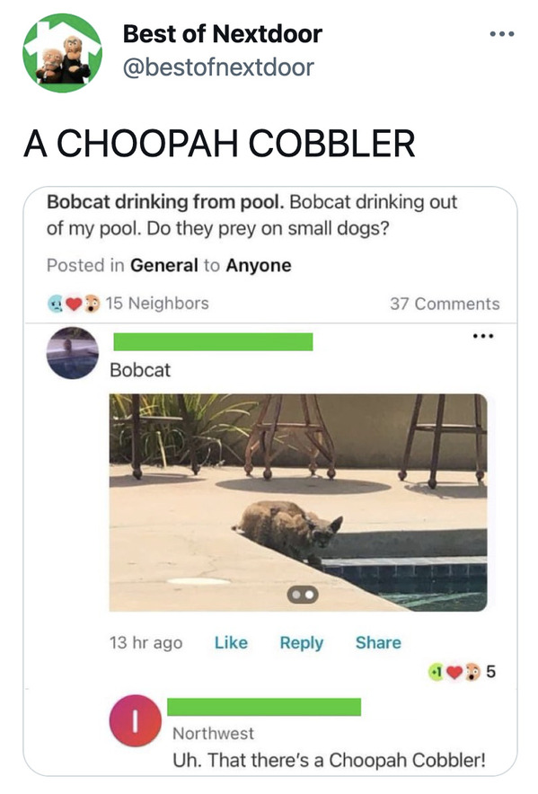 Funny best of nextdoor posts, lol, humor, funny photos, funny tweets, twitter account with funniest post from nextdoor app, bestofnextdoor