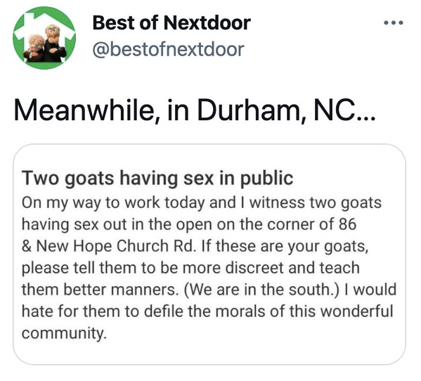 Funny best of nextdoor posts, lol, humor, funny photos, funny tweets, twitter account with funniest post from nextdoor app, bestofnextdoor