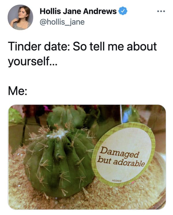 Funny dating app memes, jokes about Tinder, Lol, marriage, love, relationships, tweets, twitter observations about married life and dating, hinge, bumble, bad tinder profiles