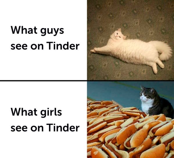 You D Think Dating Apps Would Make Dating Easier But Here We Are 27 Pics You D Think Dating Apps Would Make Dating Easier But Here We Are 27 Pics