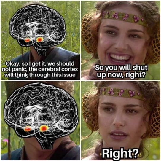 Funny Smart Memes