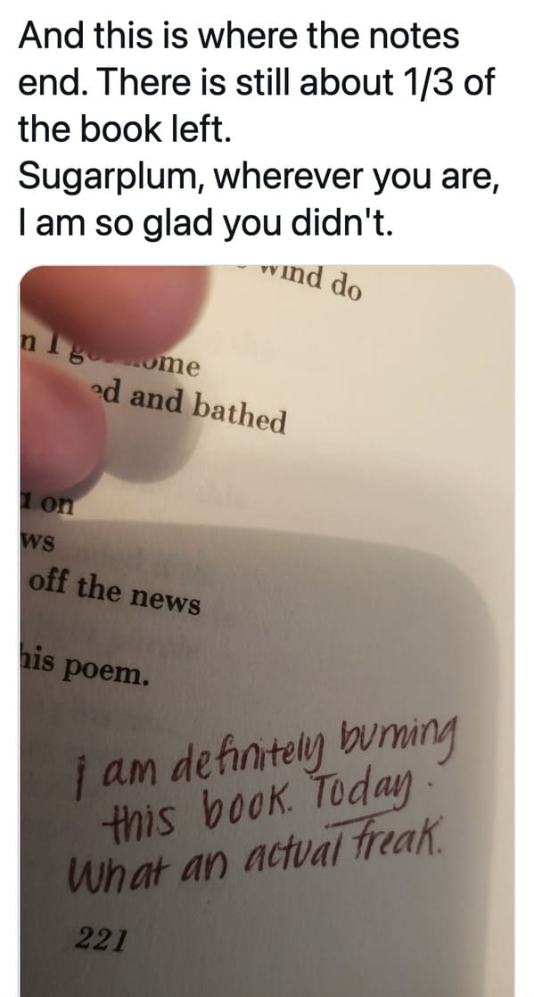 Charles Bukowski viral tweets about notes in the margin of book, bad poetry, Bukowski glitter pen woman feedback, funny viral tweets about male writers, lol, twitter reading books