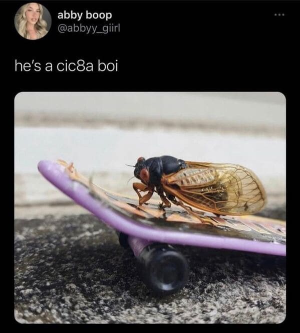 Funny viral tweets, viral twitter posts this month, lol, humor, jokes