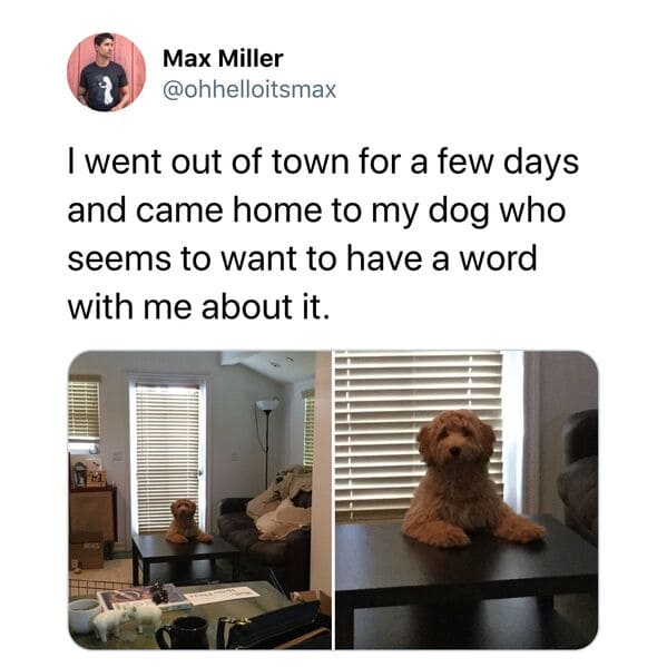 Funny viral tweets, viral twitter posts this month, lol, humor, jokes