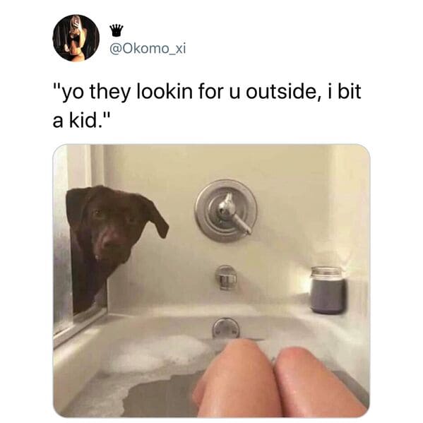Funny viral tweets, viral twitter posts this month, lol, humor, jokes