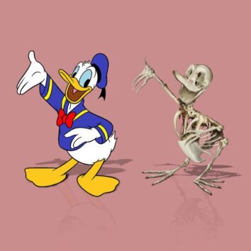 Artist Creates Anatomically Correct Skeletons Of Cherished Cartoon ...