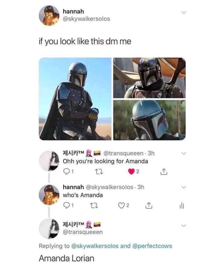 mandalorian memes - amanda lorian dm me